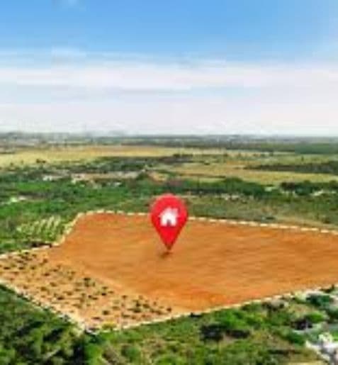 listing img